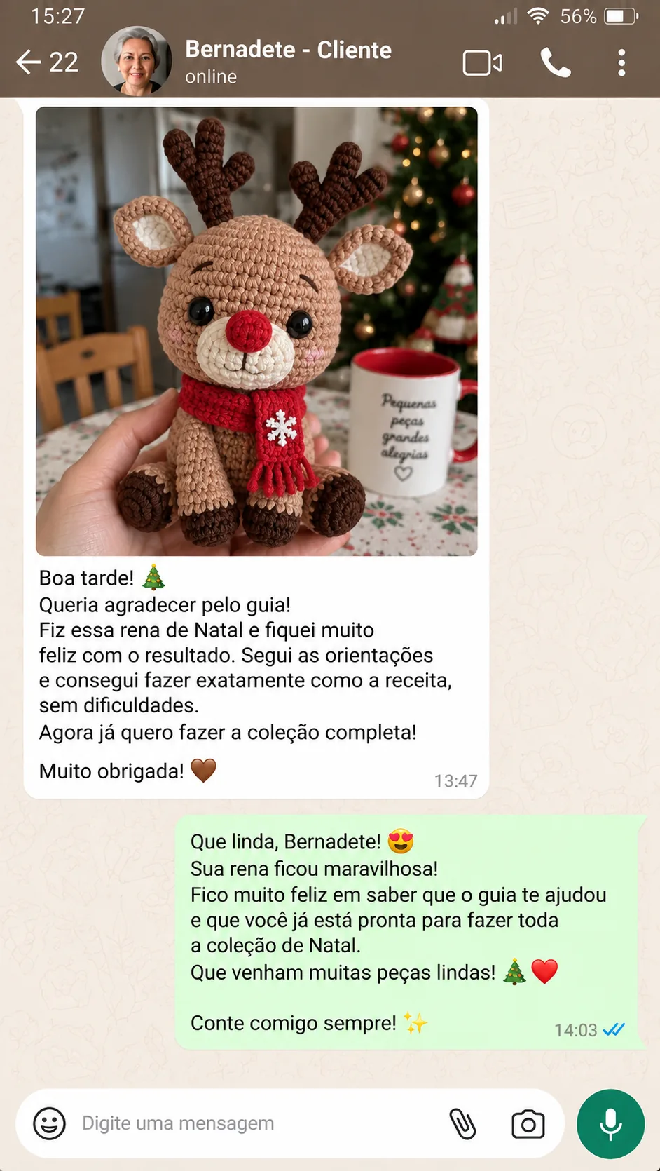 Depoimento de cliente que fez um amigurumi com o guia