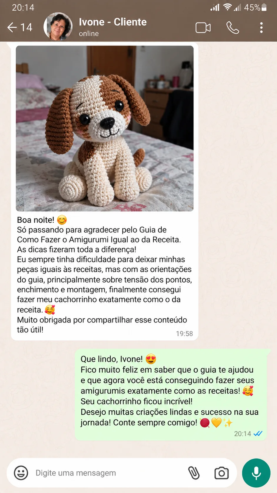 Depoimento de cliente que fez um amigurumi com o guia
